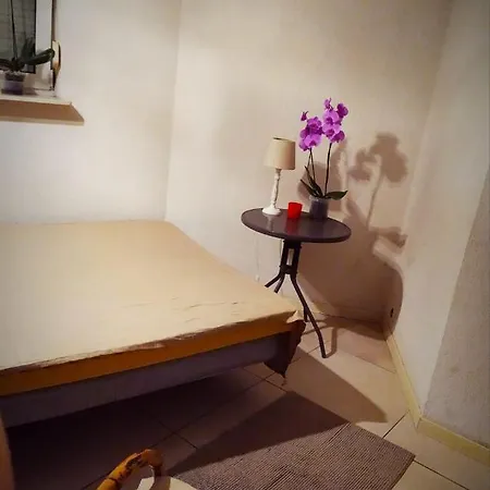 Kaszmirowy *